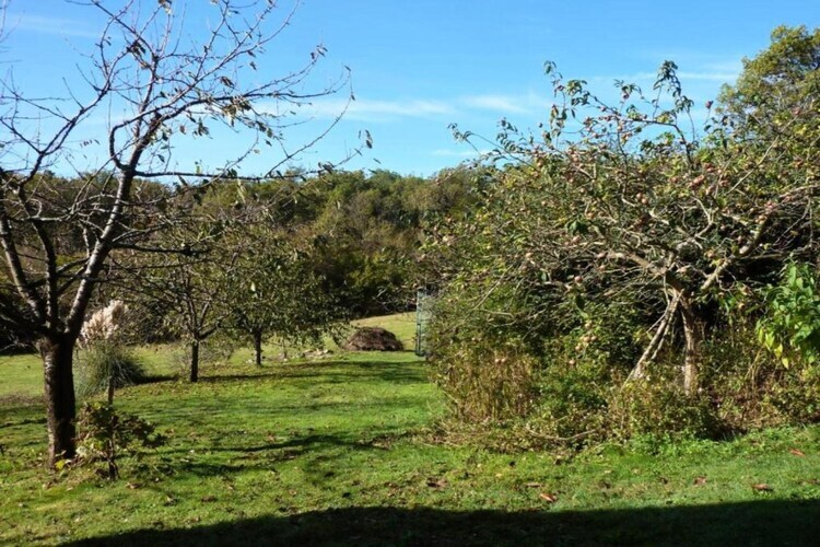 The Studio – Maison 1 chambre, jardin et nature en Normandie - Photo 37