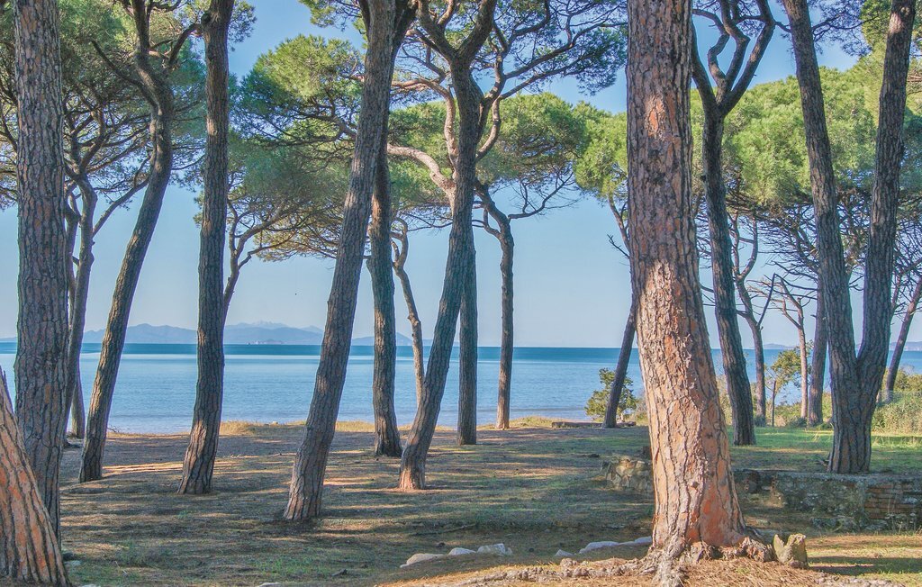 Stella Marina – Appartement 70 m² à 300 m de la mer - Photo 14