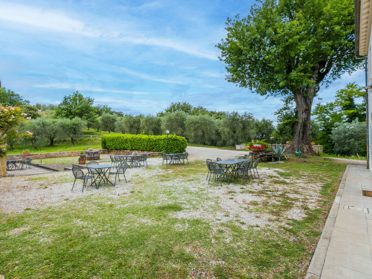 Tipologia Trilo – Gîte 6 pers. en ferme Chianti - Photo 68