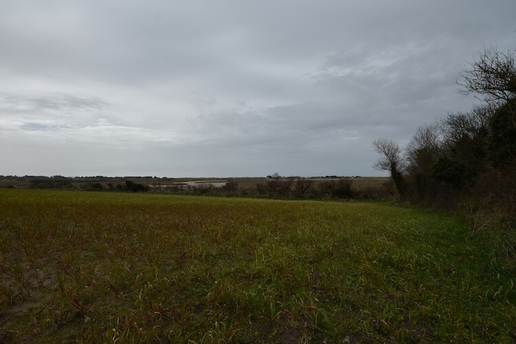 Maison de la Cosnadière, 8 personnes à 2 km de la plage - Photo 22
