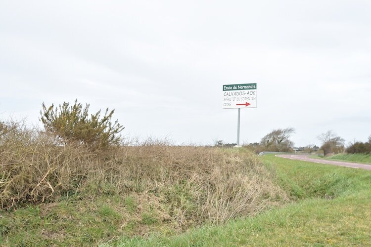 Maison de la Cosnadière, 8 personnes à 2 km de la plage - Photo 27