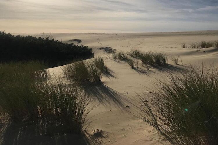 Maison de la Cosnadière, 8 personnes à 2 km de la plage - Photo 35