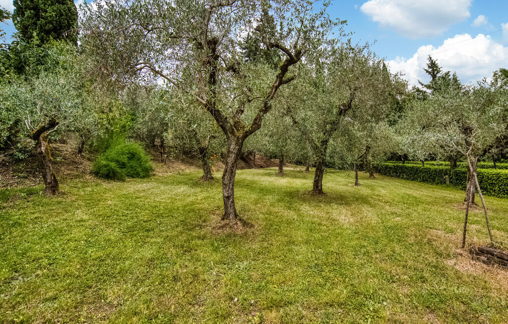 Il Loggiato, maison 11 pers. avec piscine à Monte San Savino - Photo 8