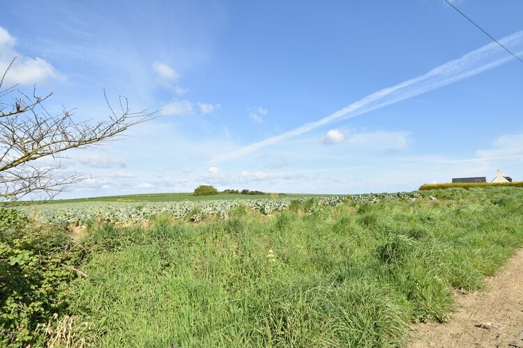 Maison bretonne rénovée, jardin spacieux près de la mer - Photo 22