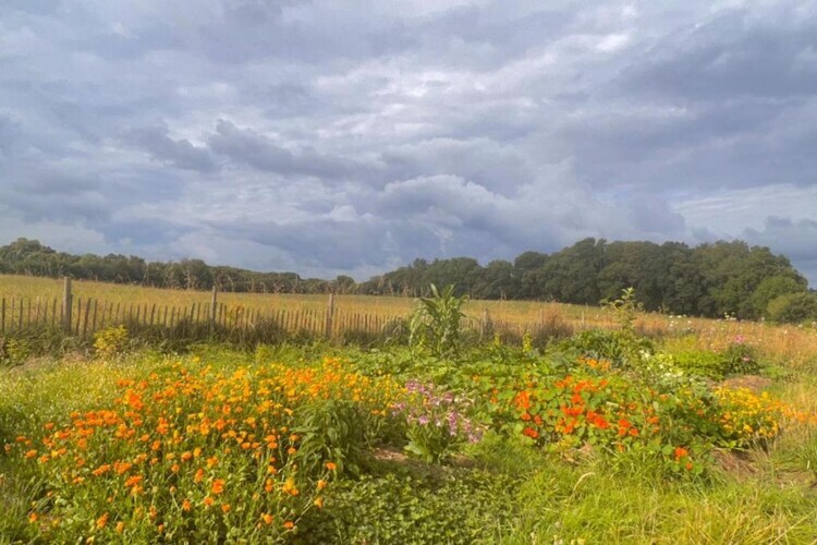 Maison bretonne rénovée, jardin spacieux près de la mer - Photo 25