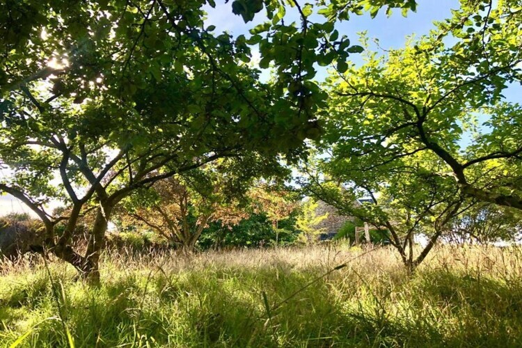 Maison bretonne rénovée, jardin spacieux près de la mer - Photo 26