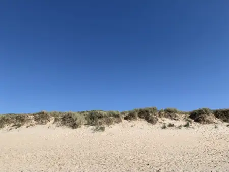 Appartement de plain-pied avec jardin à De Haan, 650 m de la plage : photo 12