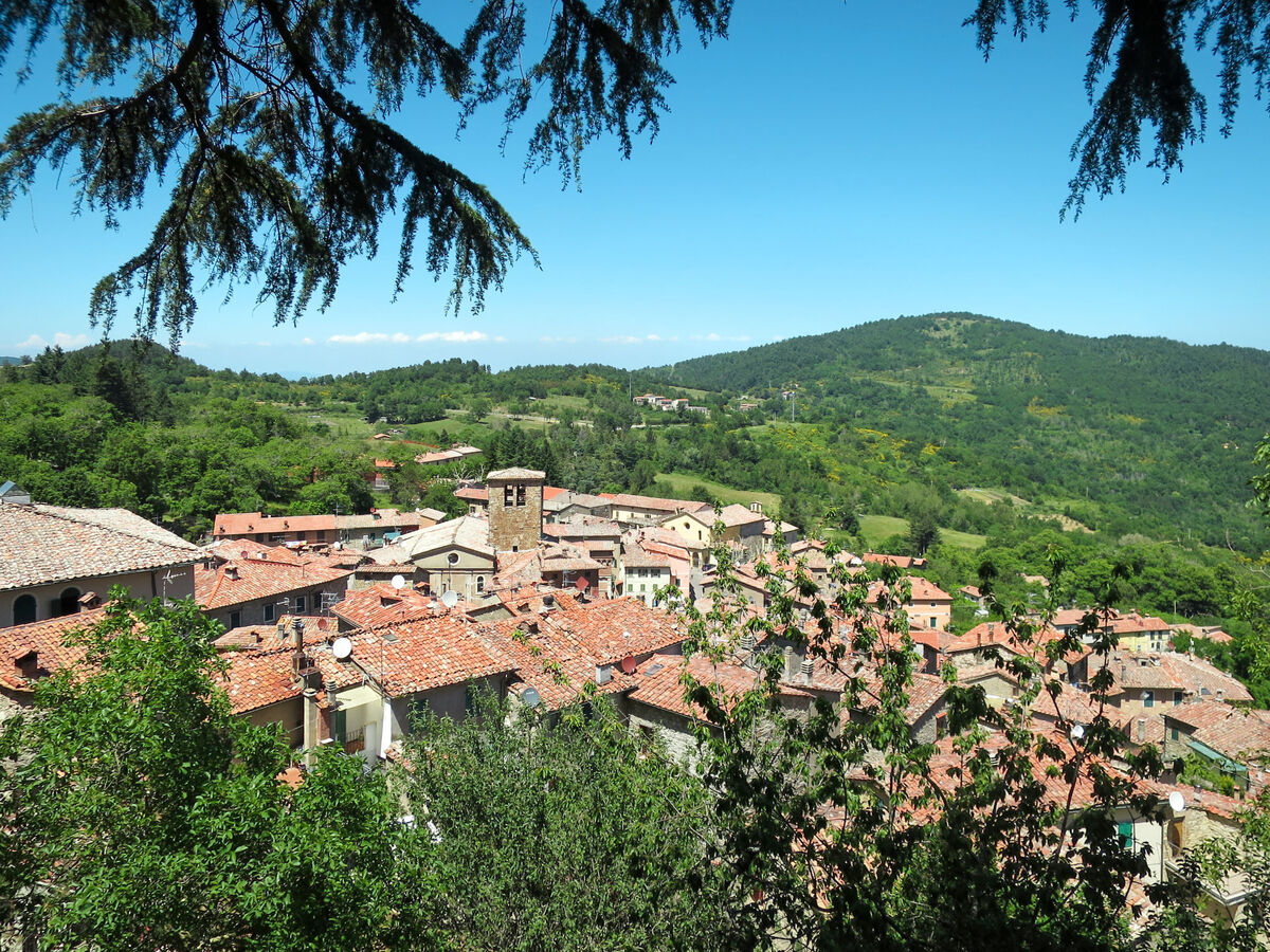 Irene - Appartement rustique Montieri, terrasse panoramique - Photo 33