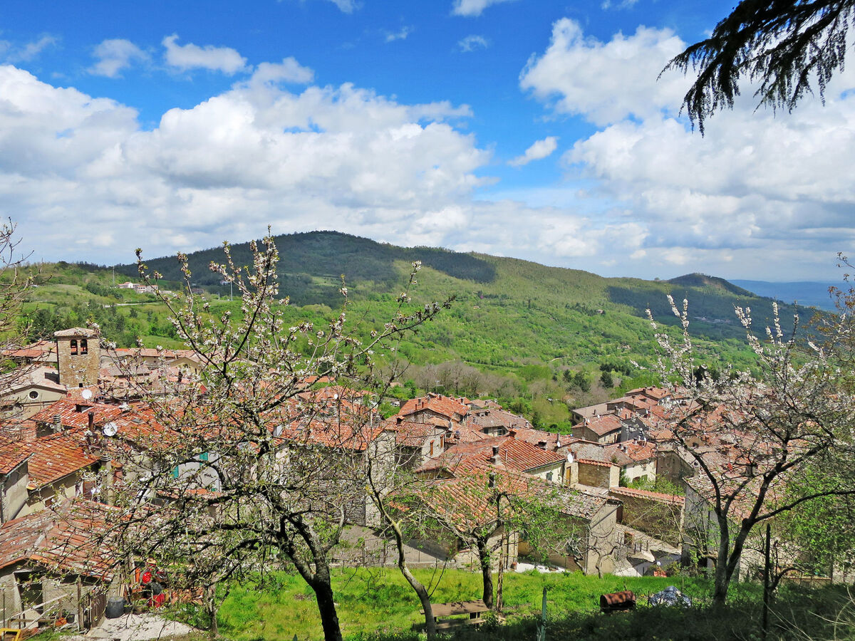 Irene - Appartement rustique Montieri, terrasse panoramique - Photo 35