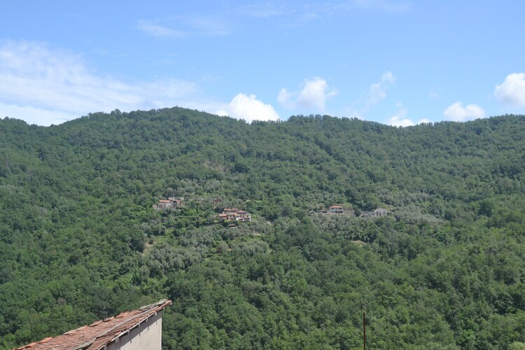 Fiore in testa – Maison 4 pers. en Ligurie - Photo 35