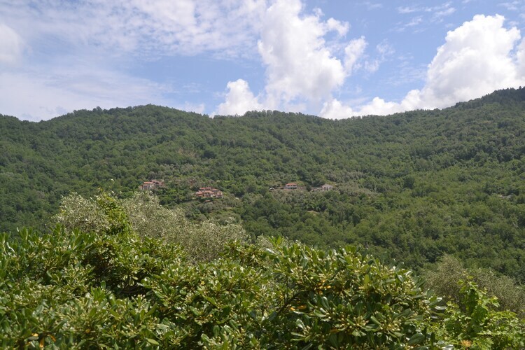 Fiore in testa – Maison 4 pers. en Ligurie - Photo 38