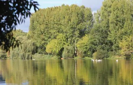 Maison au bord de la Dordogne avec piscine privée : photo 31
