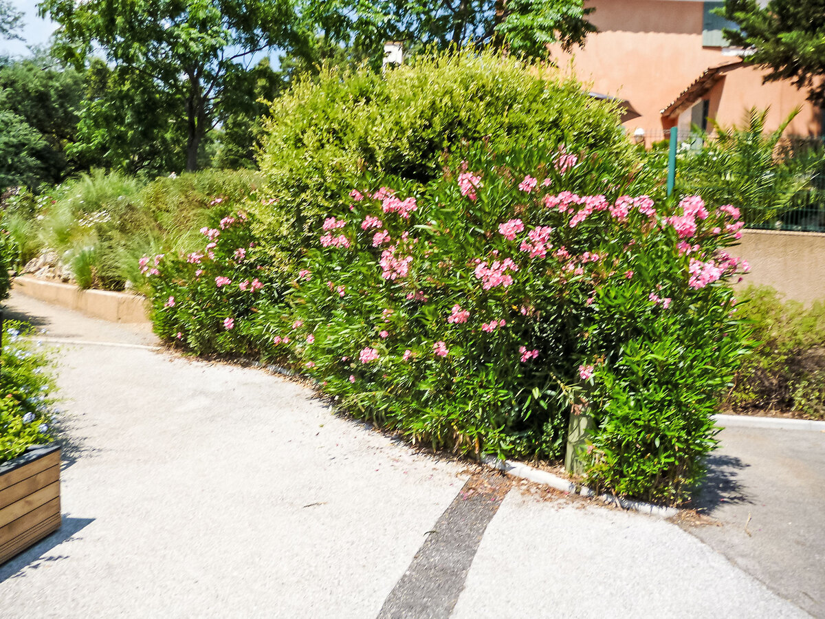 Les Restanques Golfe Saint-Tropez, Grimaud - Photo 20