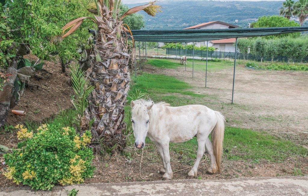 Casa Tulipano, Appartement 4 personnes à Ricadi - Photo 13