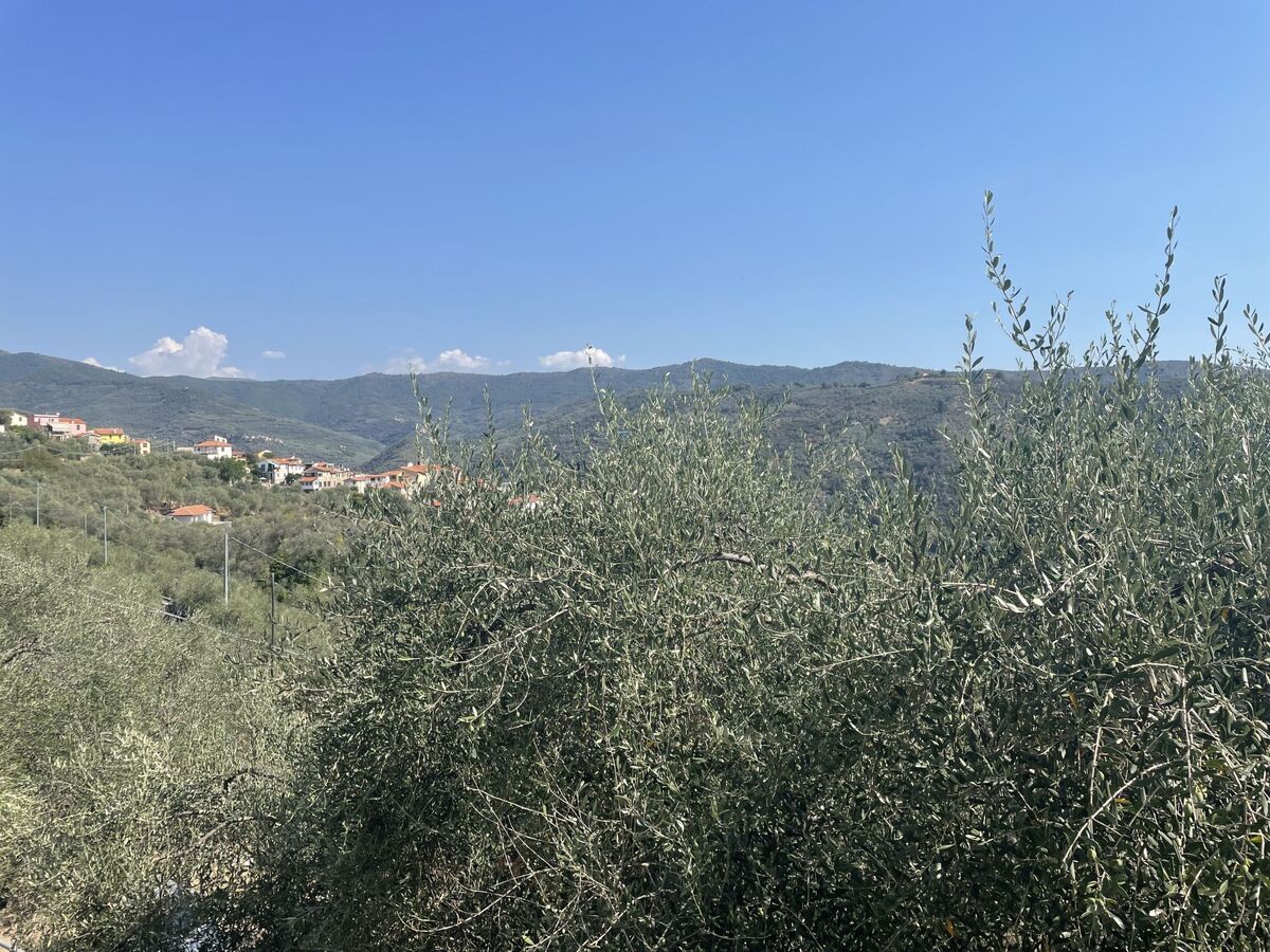 Casa Maria, maison 3 chambres avec vue mer à Dolcedo - Photo 21