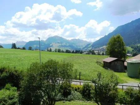 Giferblick, Appartement 3 personnes à Zweisimmen - Photo 8