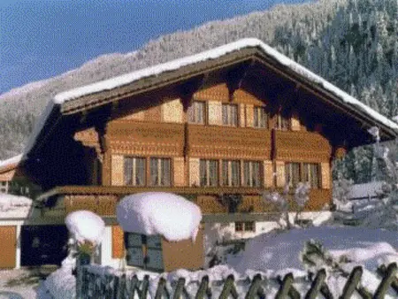 Giferblick, Appartement 3 personnes à Zweisimmen - Photo 9