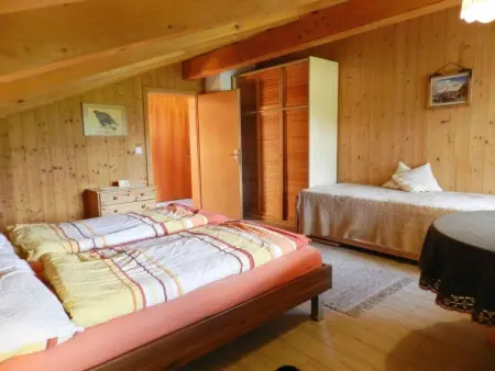 Giferblick, Appartement 3 personnes à Zweisimmen - Photo 13