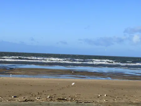 Studio 32 m² avec terrasse couverte à Blonville-sur-Mer : photo 16