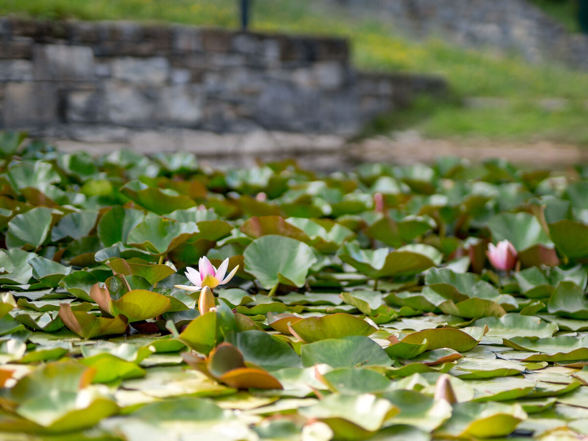 Maison Lapis à Buzet : piscine privée, 3 étages - Photo 29