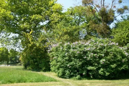 La Juquaise, maison 6 pers. avec jardin privé : photo 32