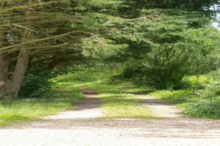 La Juquaise, maison 6 pers. avec jardin privé : photo 38