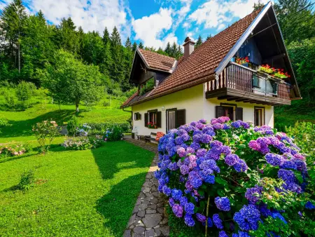 Božica, Maison 6 personnes à Brod na Kupi - Photo 1