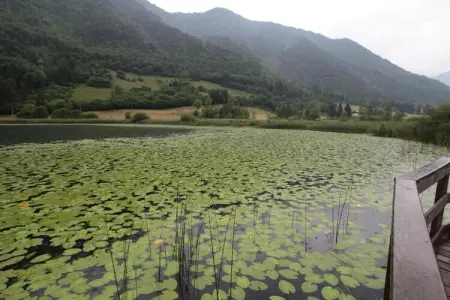 Villa Etti Trilo - Fronte Lago, Retraite paisible à Ledro - Photo 33