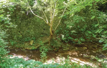 Maison 4 chambres avec piscine privée à Bédarieux : photo 16