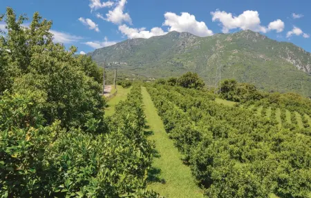 Maison 6 personnes à Santa Maria Poggio - Photo 11