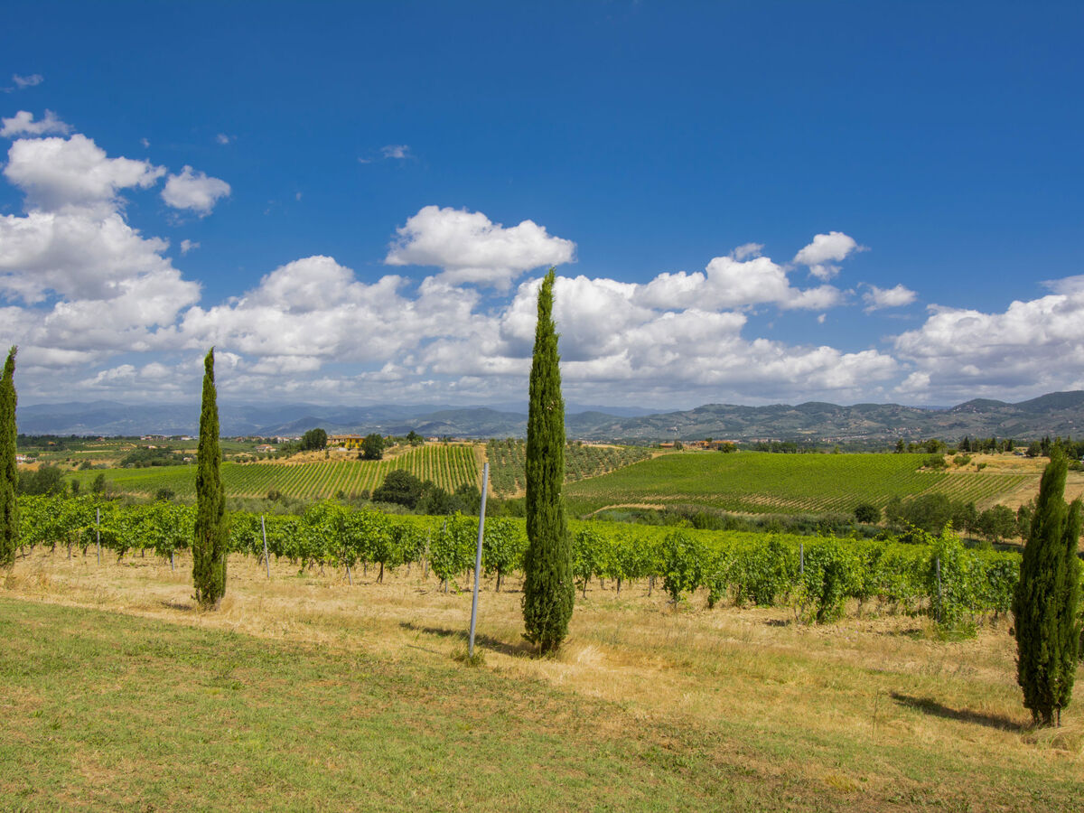Gîte Cimabue à Vinci, 4 pers., piscine & vignobles - Photo 24