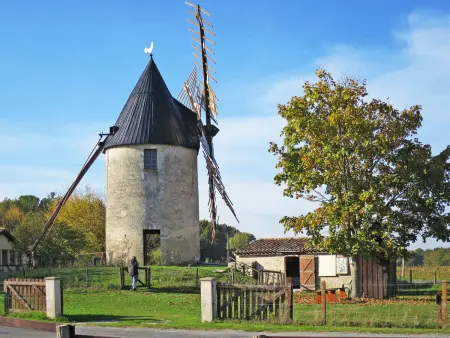 La Bruyère, Maison 5 personnes à Montalivet - Photo 23