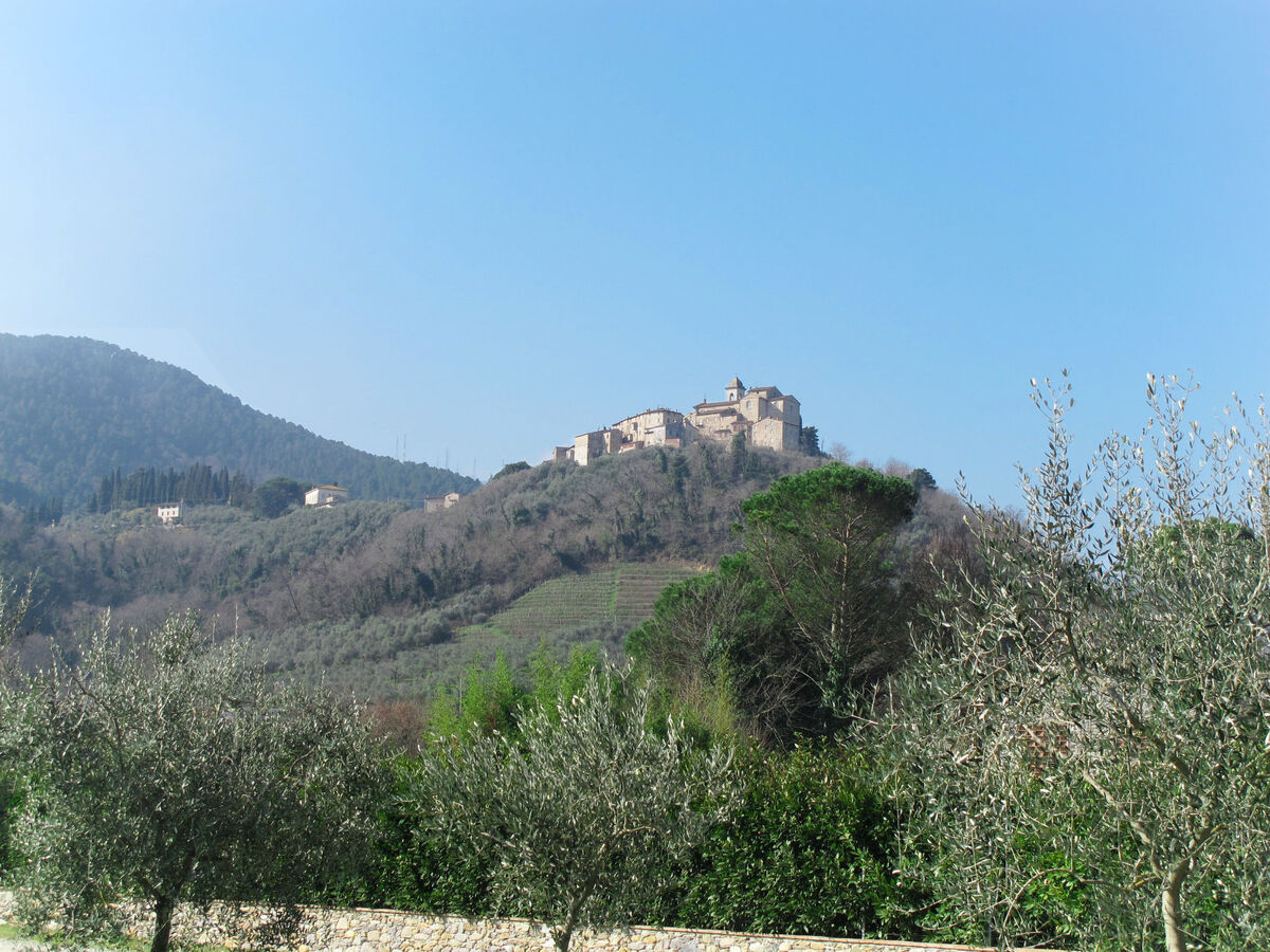 Celeste – Gîte 7 chambres, 10 hectares près de Lucca - Photo 33