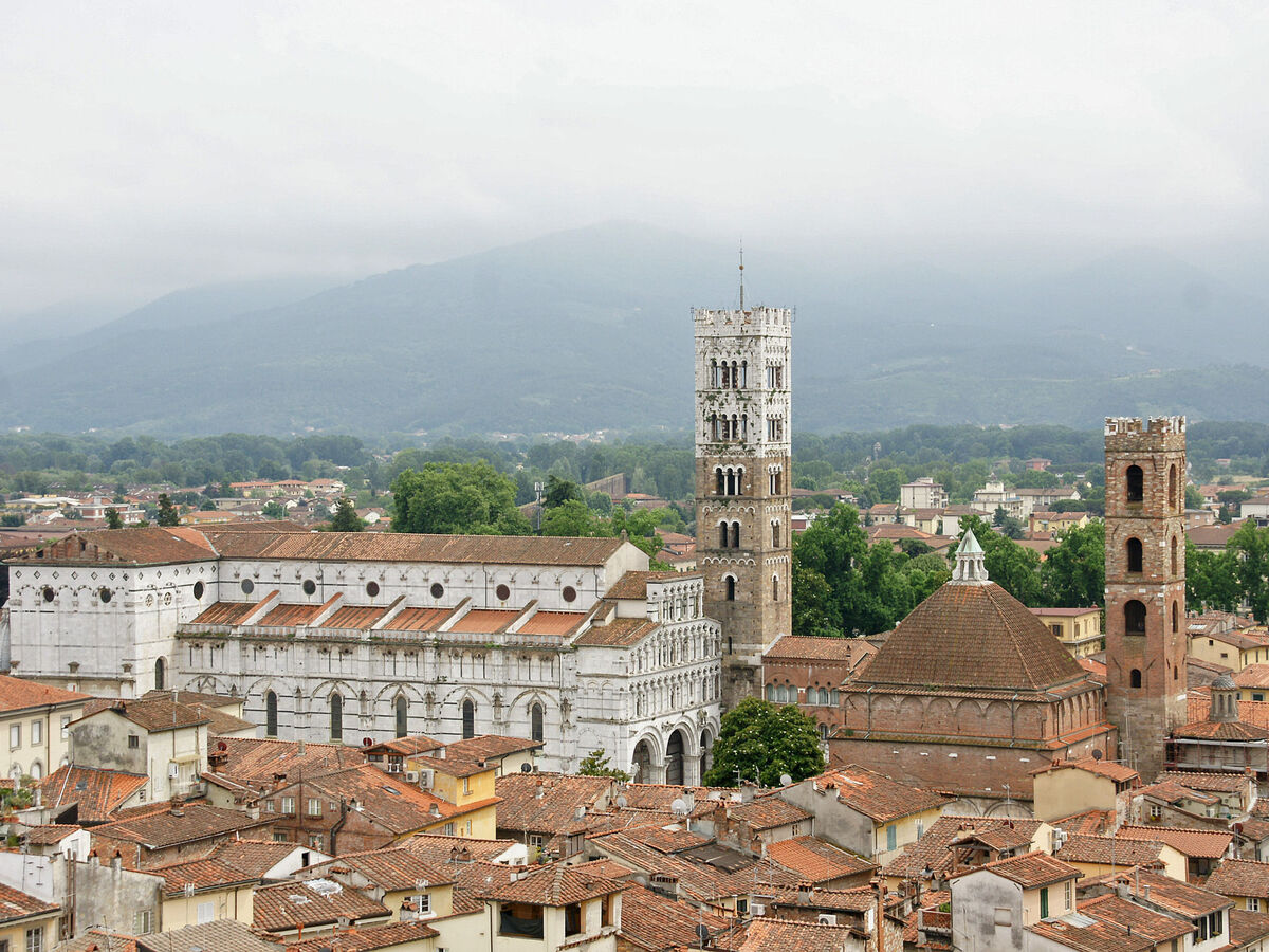 Celeste – Gîte 7 chambres, 10 hectares près de Lucca - Photo 40