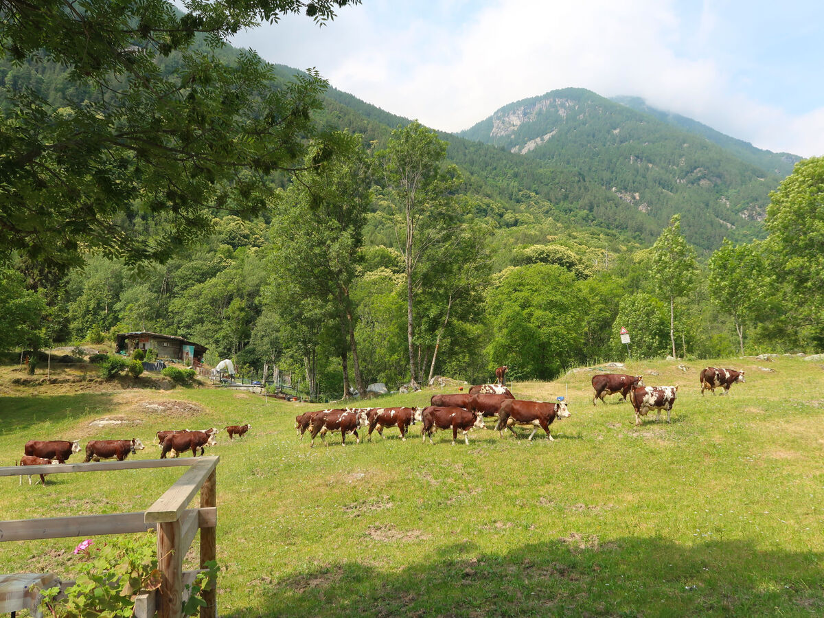 Maison Ivan – 6 chambres sur 4 niveaux à Noasca, Gran Paradiso - Photo 44
