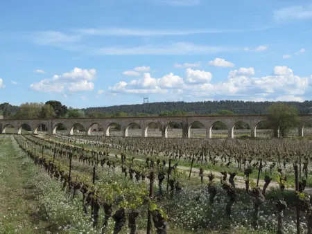 Port Minervois, maison 3 pièces à Homps : photo 30