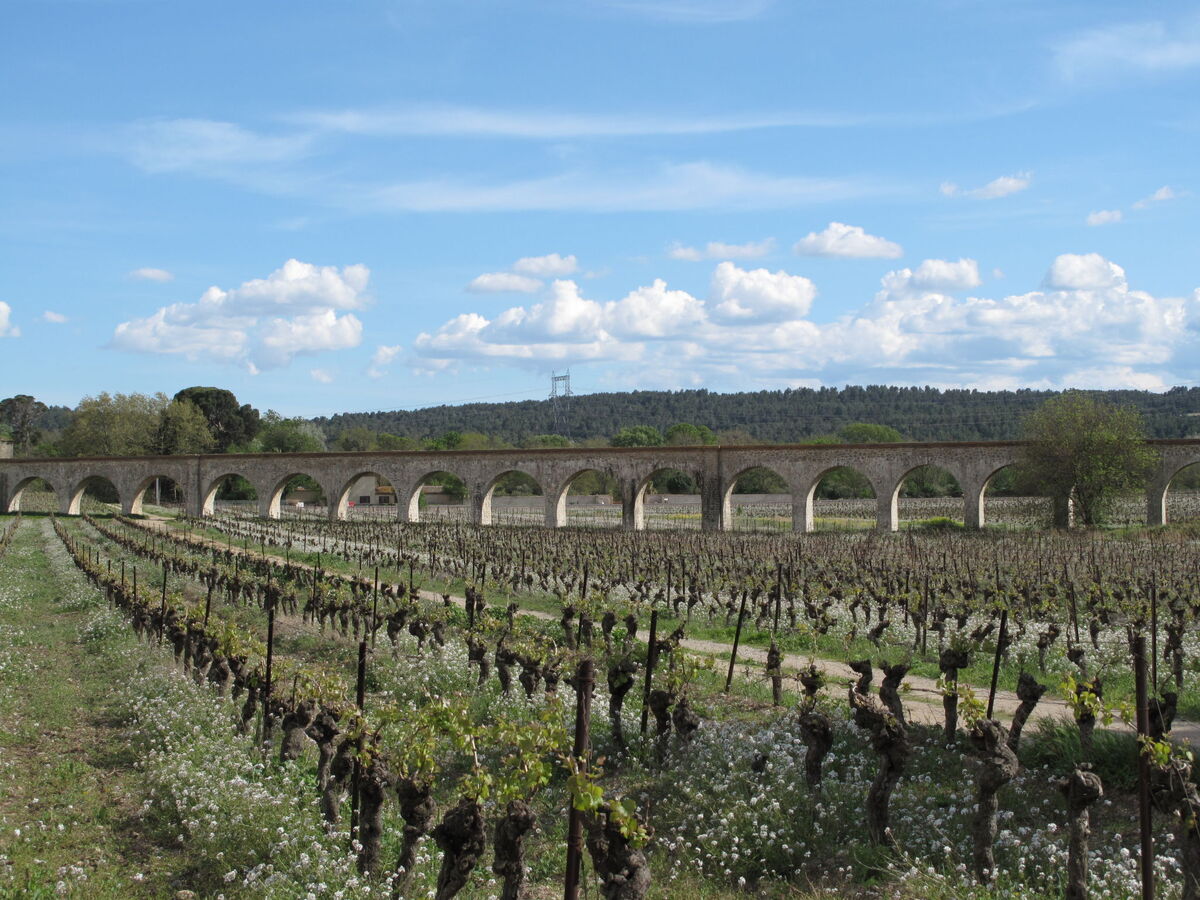 Maison Port Minervois, 8 pers., piscines à Homps - Photo 30