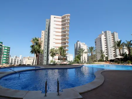 Torre Maestral - Appartement 6 pers. à Benidorm : photo 24
