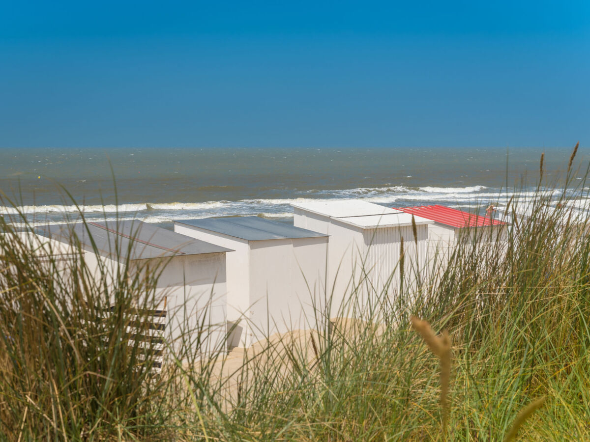 Maison 3 chambres avec grande terrasse et parking à Bredene - Photo 9