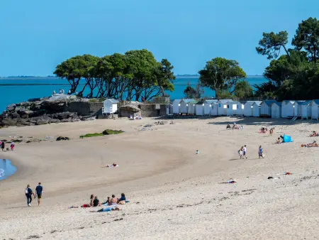 Odalys Collection Dom.des Pins Mais 3P6, Appartement 6 personnes à Ile de Noirmoutier - Photo 22
