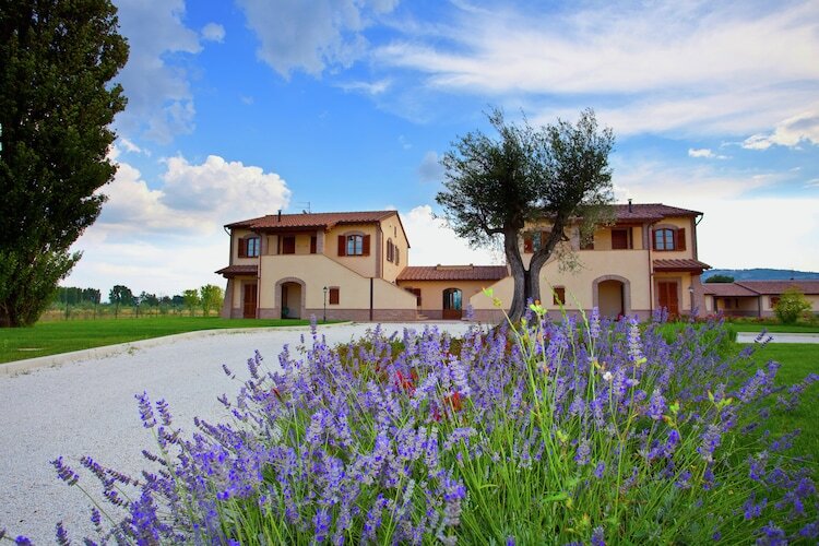 Villa Spello à Cannara : piscine et vue sur Assise - Photo 8