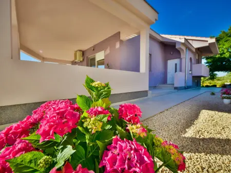 Anić, Maison 8 personnes à Novigrad (Zadar) - Photo 22