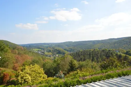 Auberge de Halinsart – Maison 19 personnes, piscine et forêt : photo 6