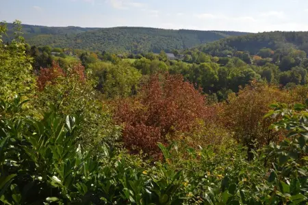Auberge de Halinsart – Maison 19 personnes, piscine et forêt : photo 37