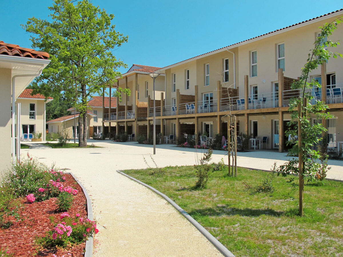 Le Petit Pont, maison 6 pers. avec piscine à Hourtin - Photo 14