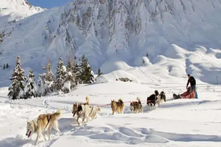 Le Hameau du Borsat 2, Chalet dans les Alpes Françaises - Photo 34