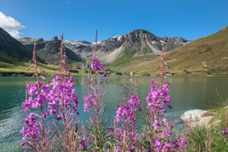 Le Hameau du Borsat 4, Séjour de style chalet à Val Claret - Photo 26