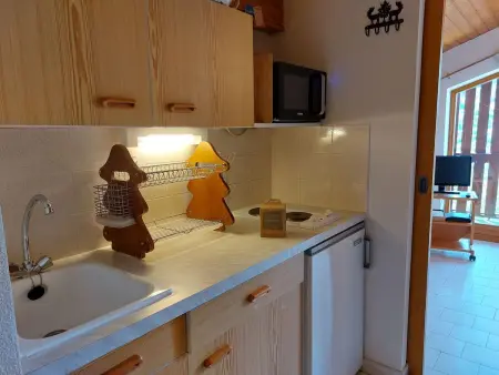 Martagon – Appartement 2 pièces avec vue montagne : photo 5