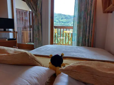 Martagon – Appartement 2 pièces avec vue montagne : photo 11