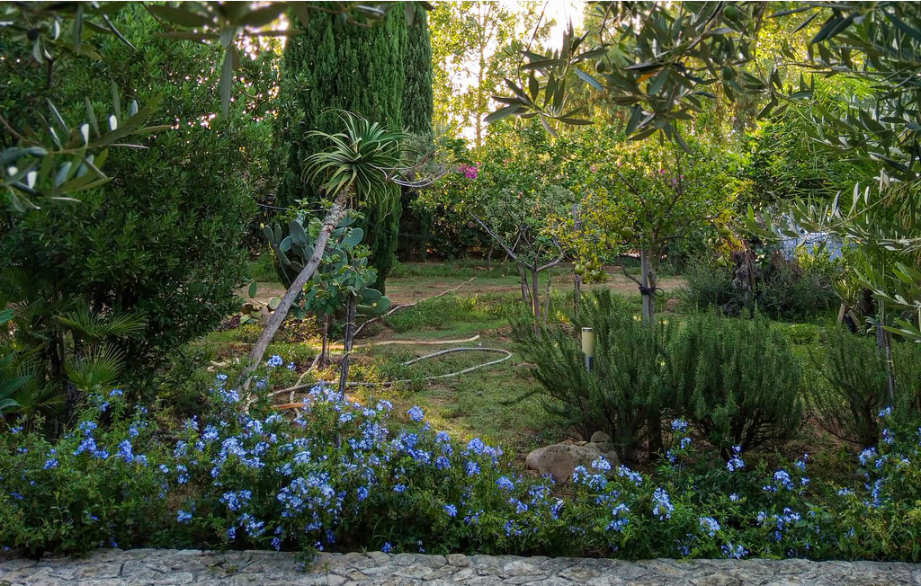 Casa Caracci Mare, maison méditerranéenne à 150 m de la plage - Photo 13